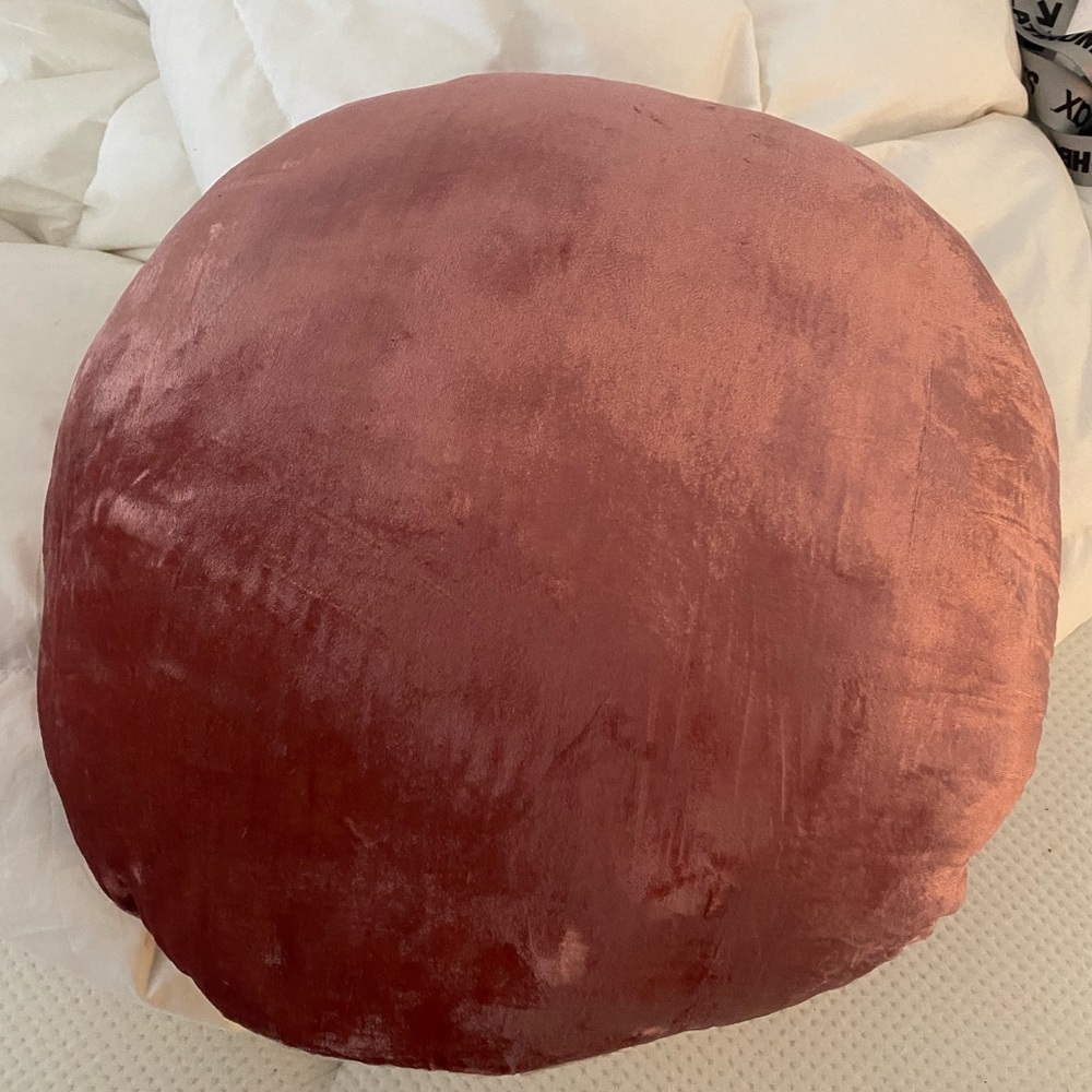 West Elm Velvet Throw Pillow